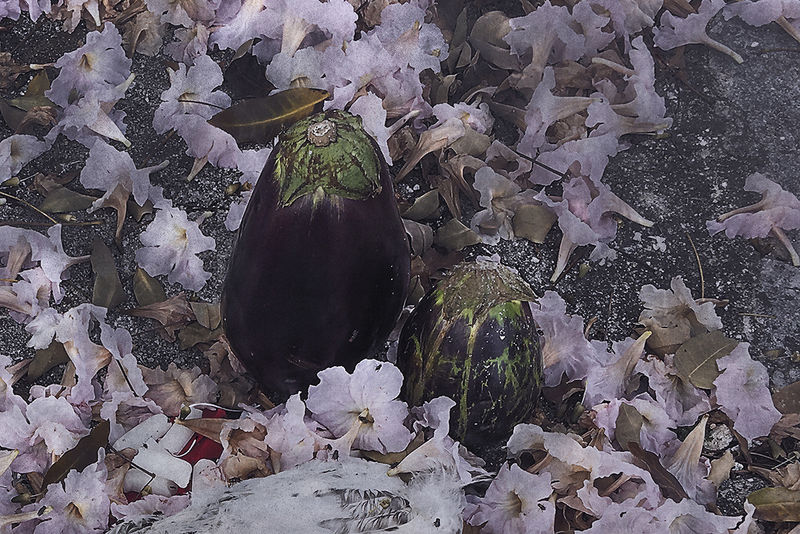 Harold Mendez; The days of yesterday are all numbered in sum; 2019