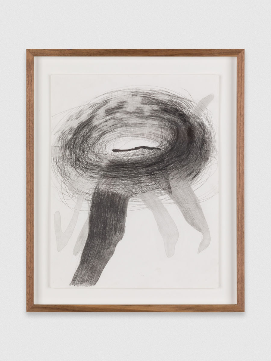 Kaveri  Raina; Untitled, from To Hover Series; 2019