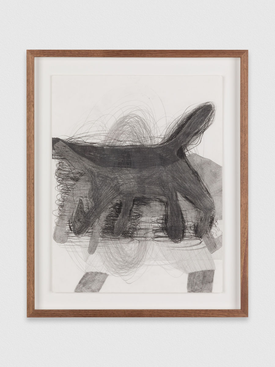 Kaveri  Raina; Untitled, from To Hover Series; 2019