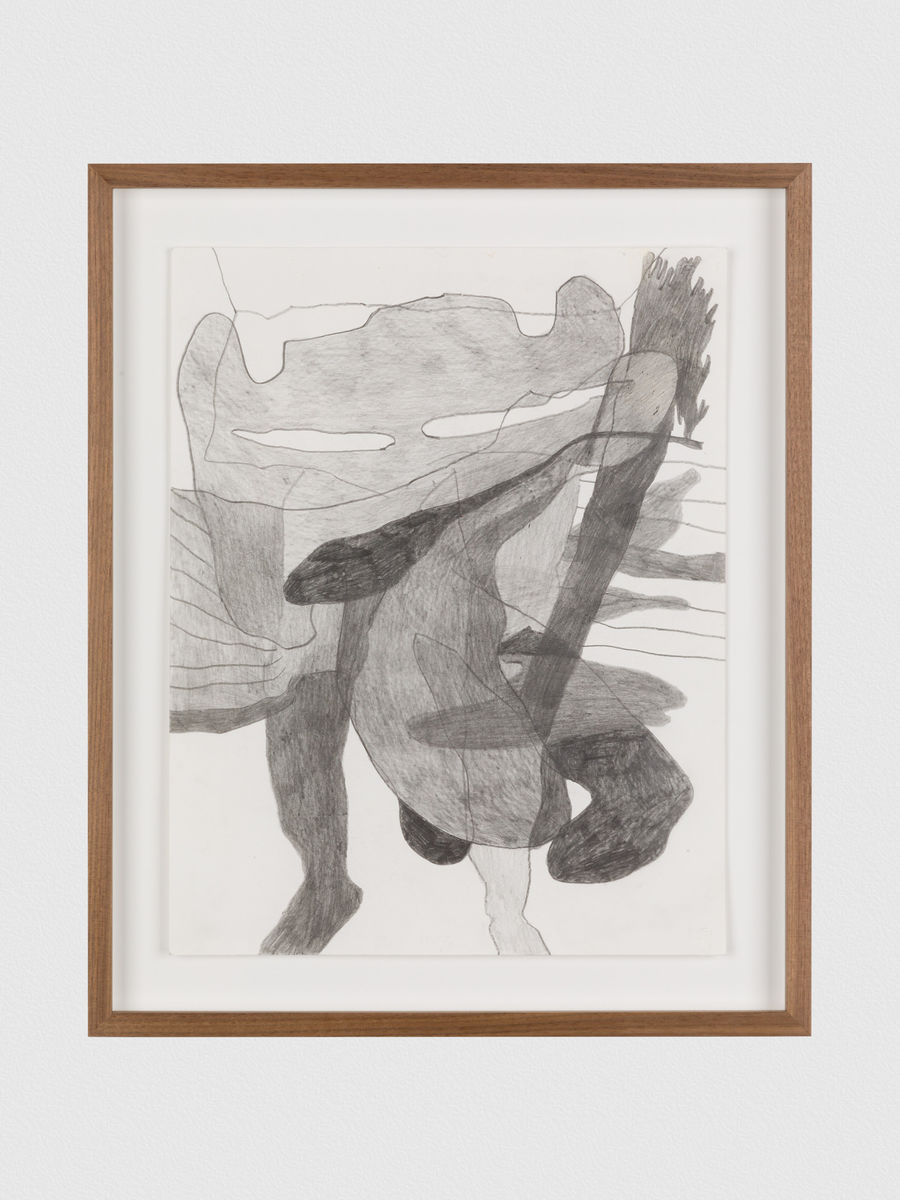 Kaveri  Raina; Untitled, from To Hover Series; 2019