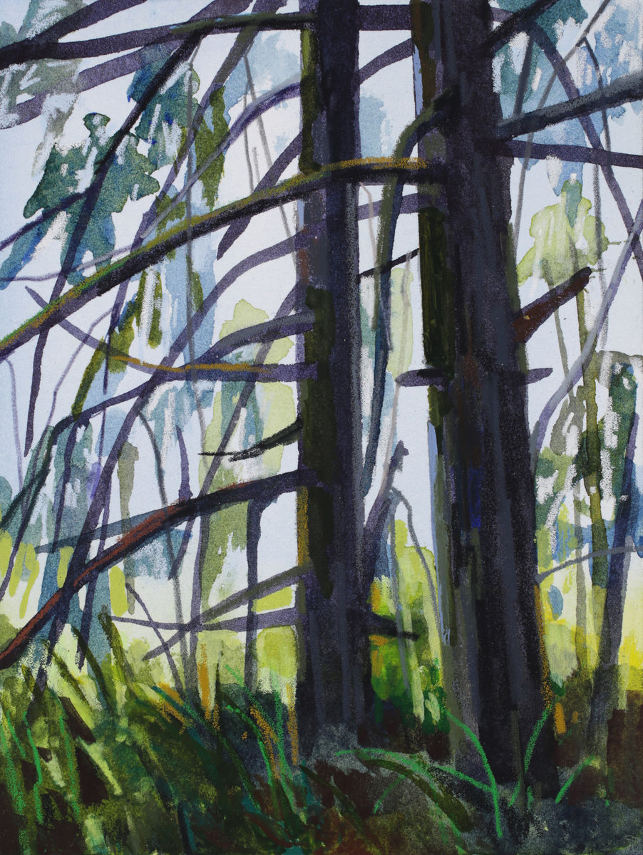 Claire Sherman; Trees; 2020