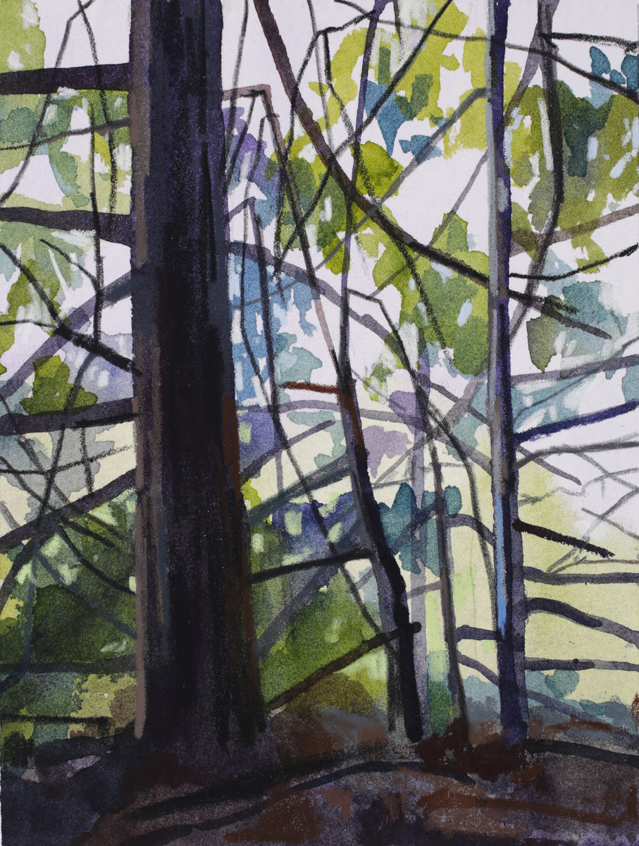Claire Sherman; Trees and Branches; 2020