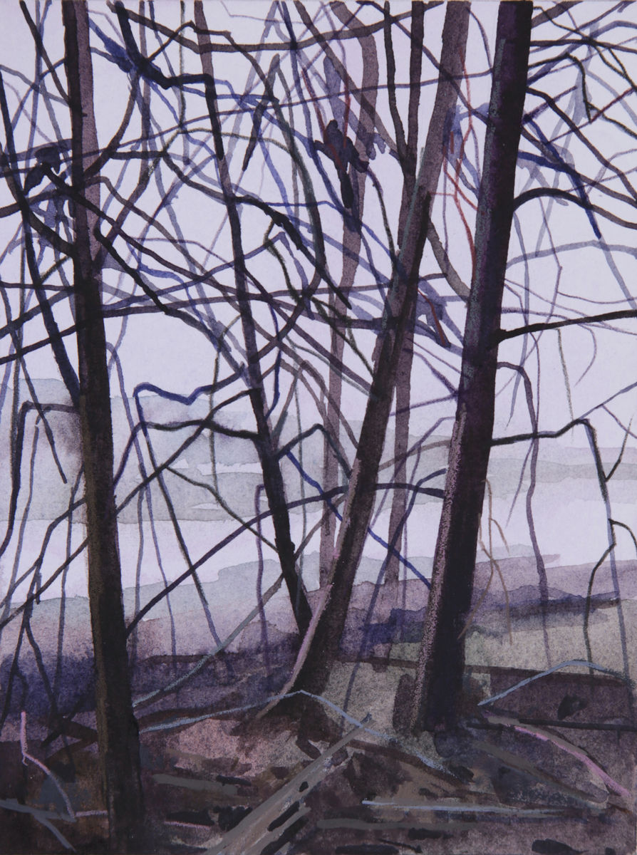 Claire Sherman; Trees and Shore; 2019