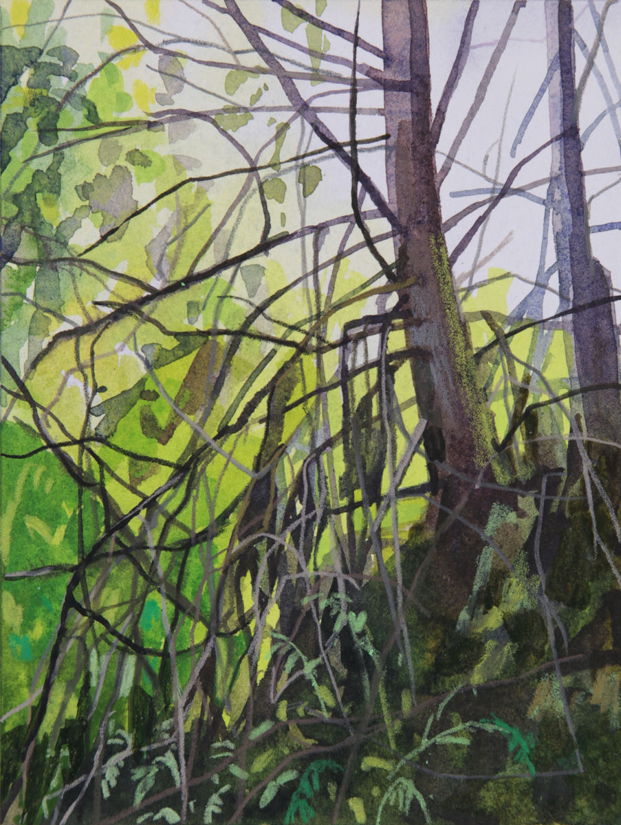 Claire Sherman; Trees; 2019