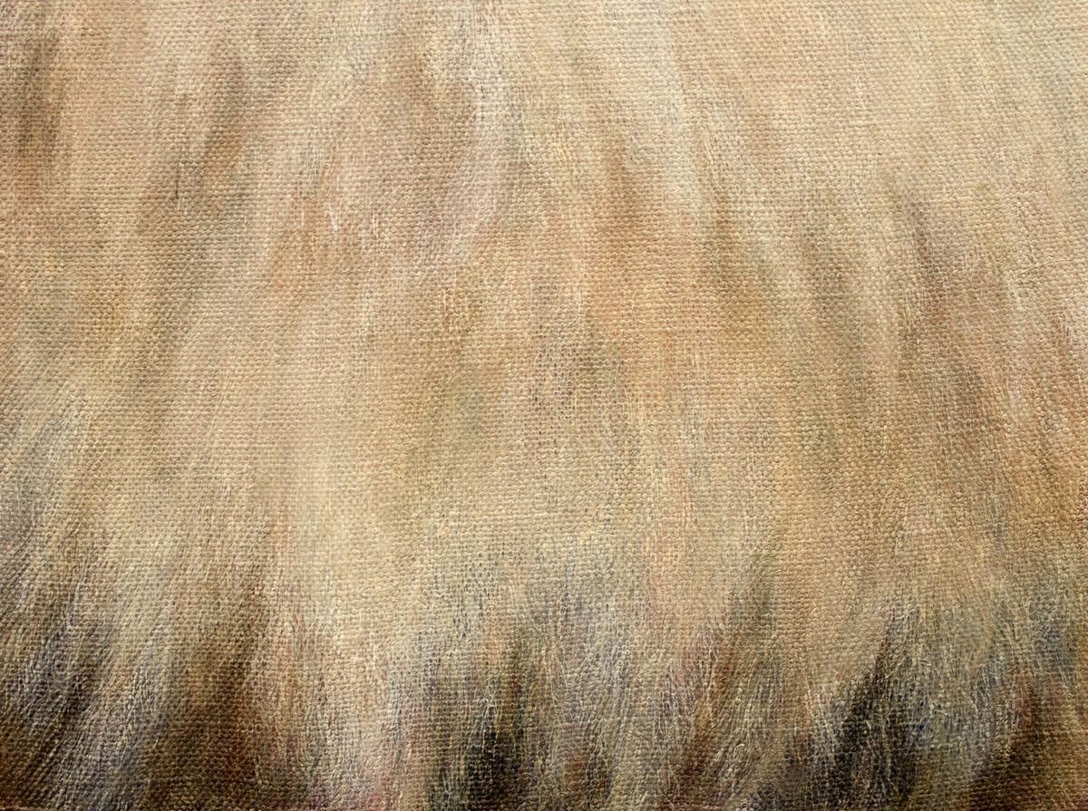 Ryosuke Kumakura; Fur; 2019