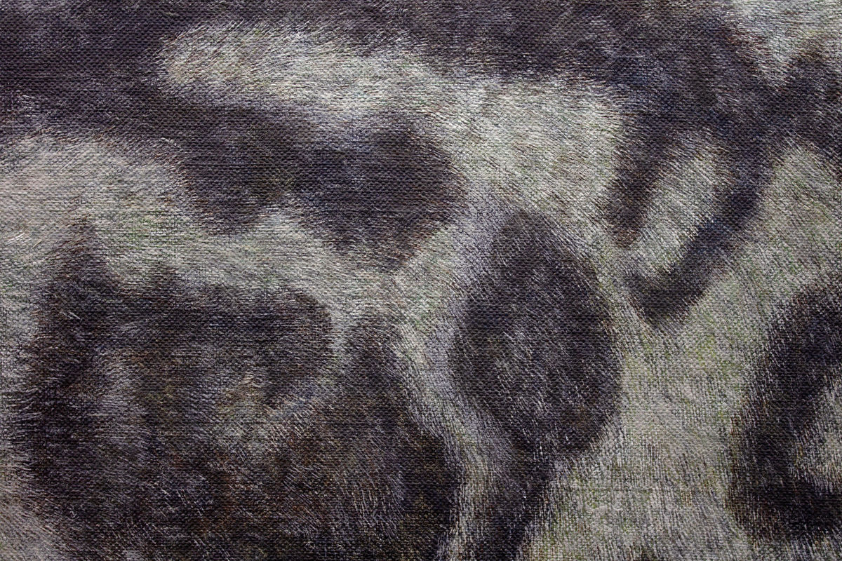 Ryosuke Kumakura; Fur; 2019
