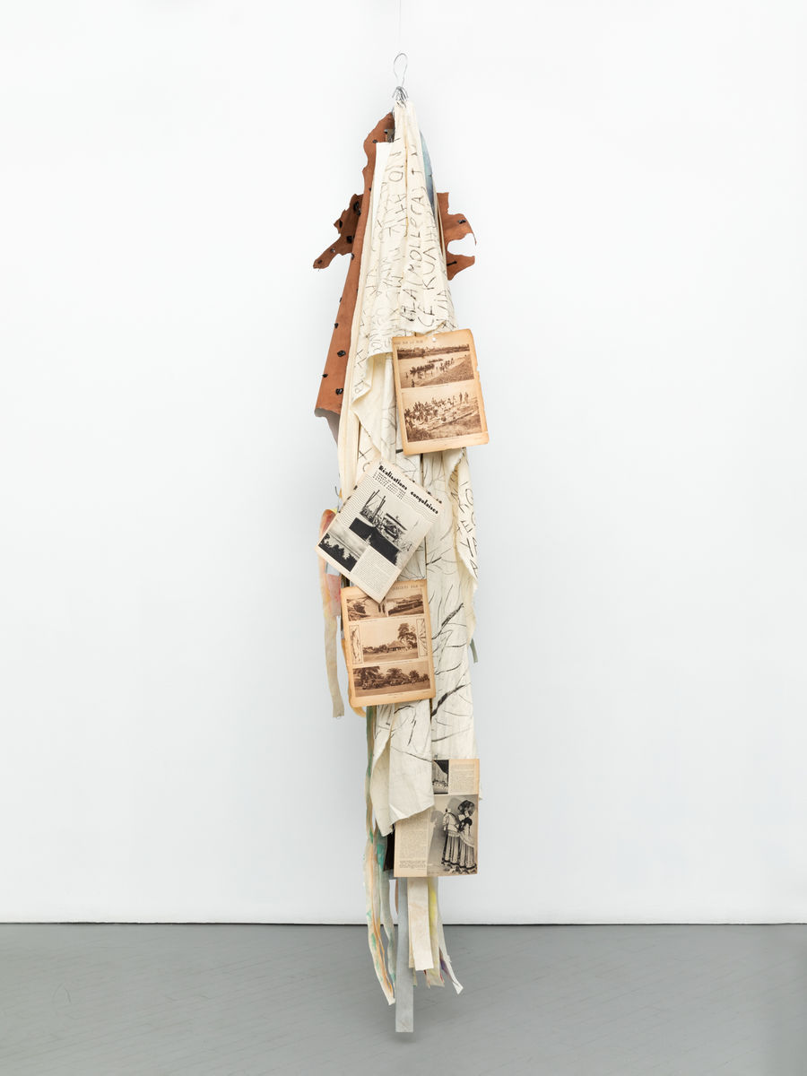 Noé Martínez; Árbol IV. Las presencias dormidas; 2020