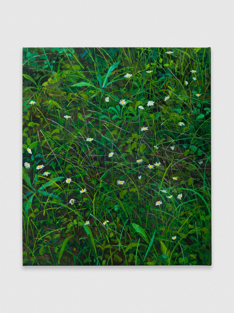 Claire Sherman; Wildflowers; 2020