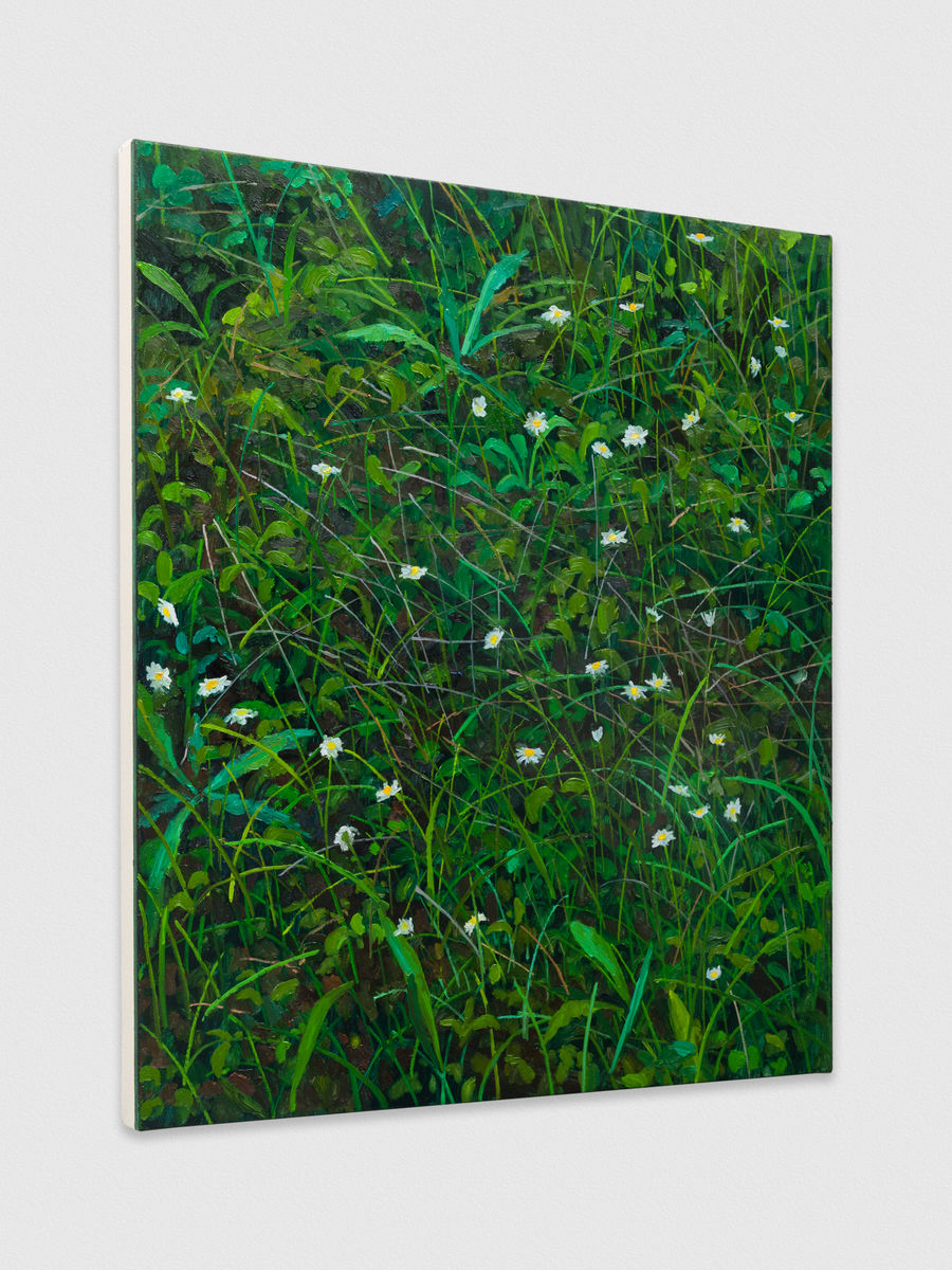 Claire Sherman; Wildflowers; 2020