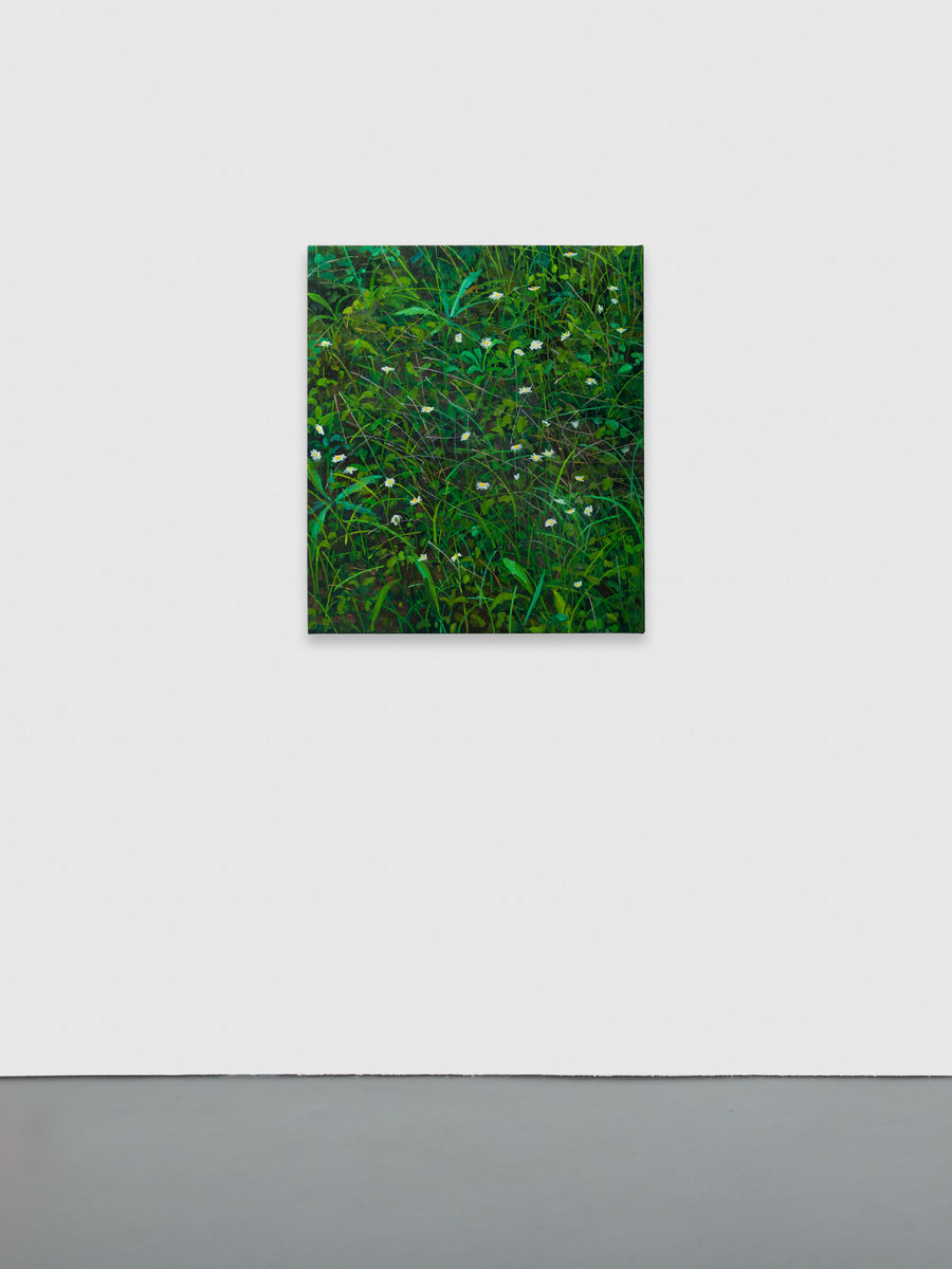 Claire Sherman; Wildflowers; 2020
