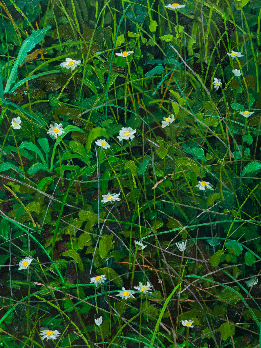 Claire Sherman; Wildflowers; 2020