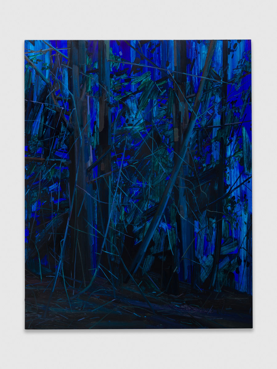Claire Sherman; Trees and Night; 2016