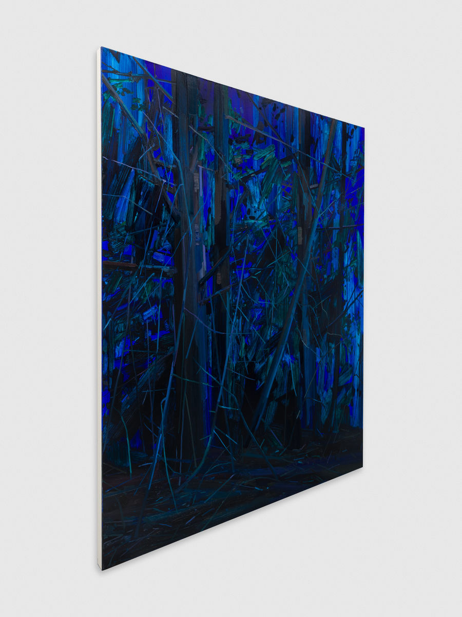 Claire Sherman; Trees and Night; 2016