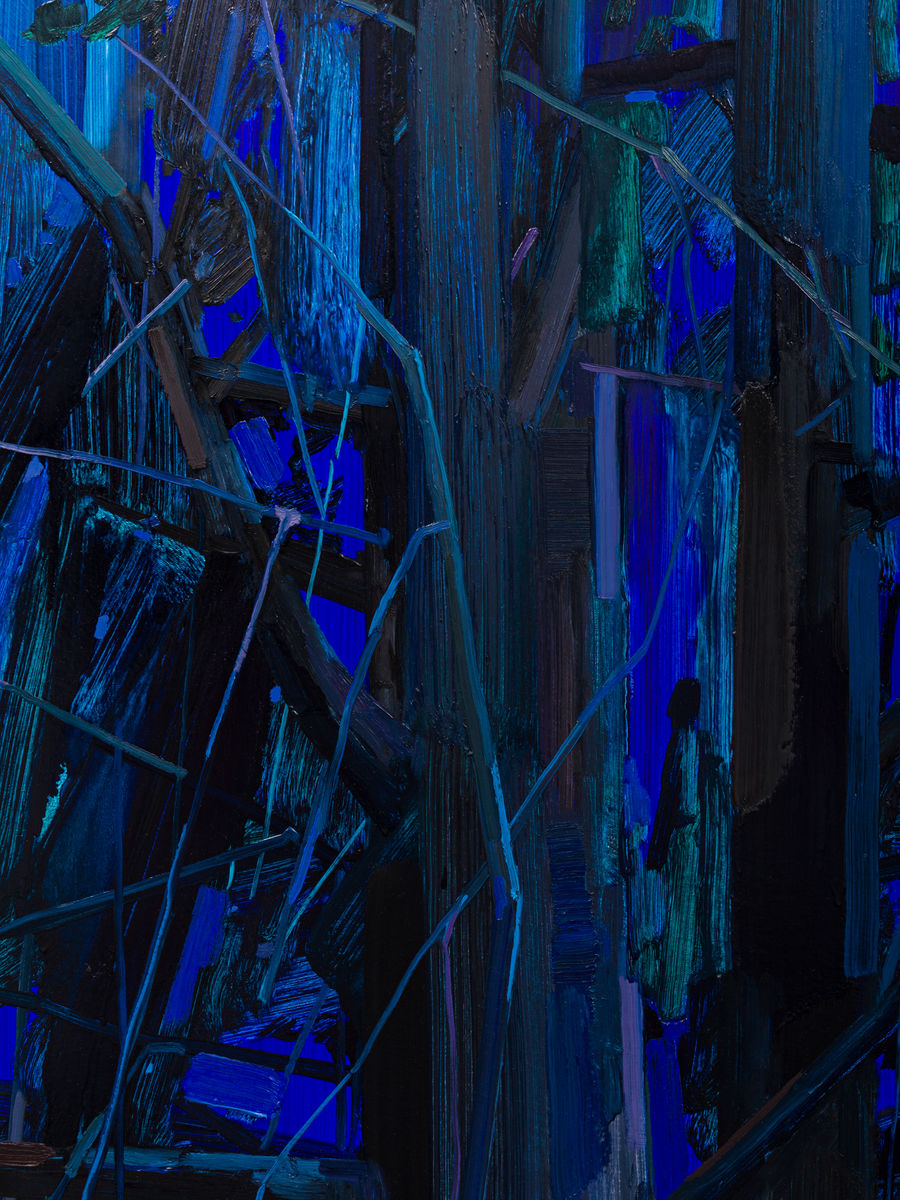 Claire Sherman; Trees and Night; 2016