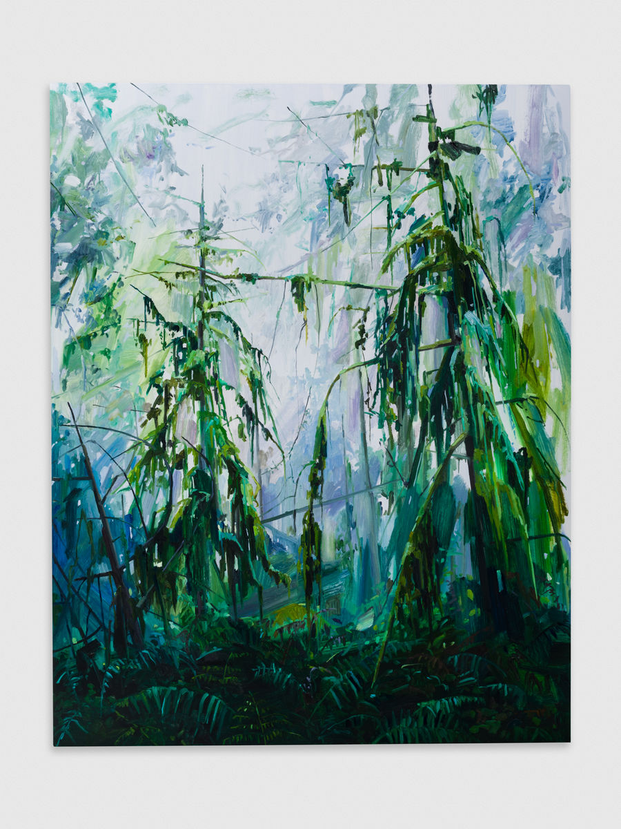 Claire Sherman; Trees and Ferns; 2017