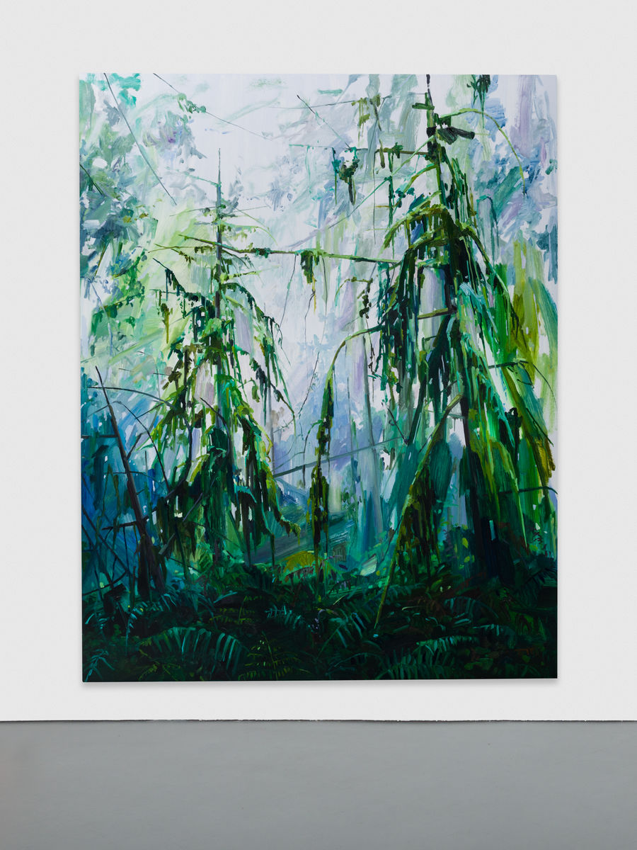 Claire Sherman; Trees and Ferns; 2017