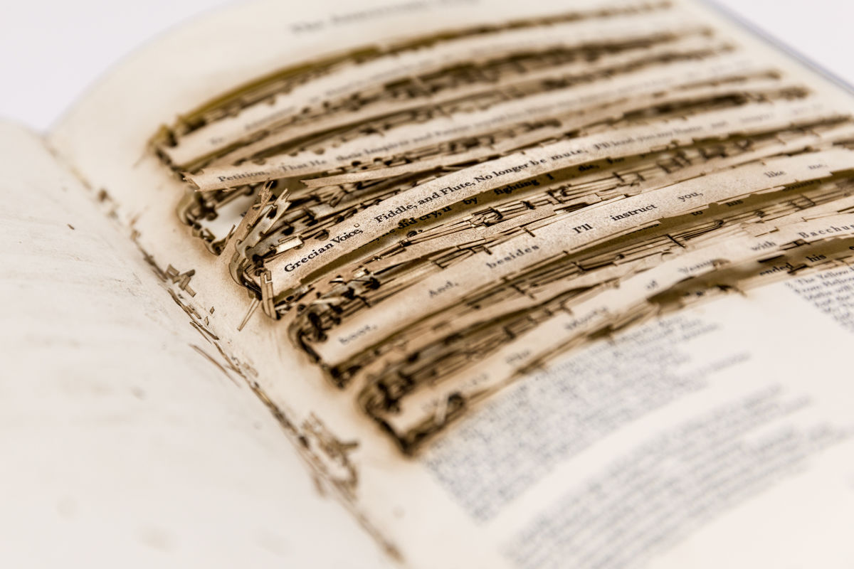 Bethany Collins; The Star Spangled Banner: A Hymnal,; 2020