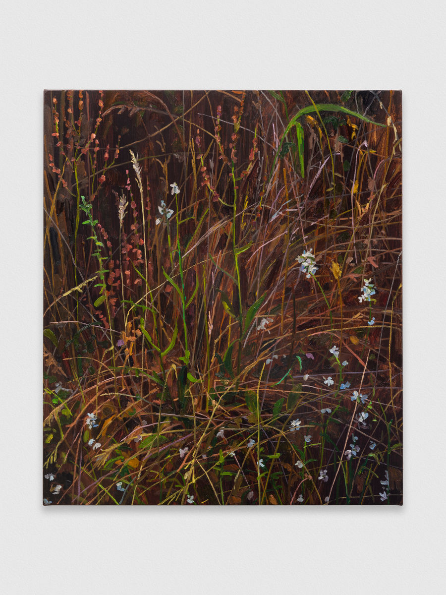 Claire Sherman; Wildflowers; 2020