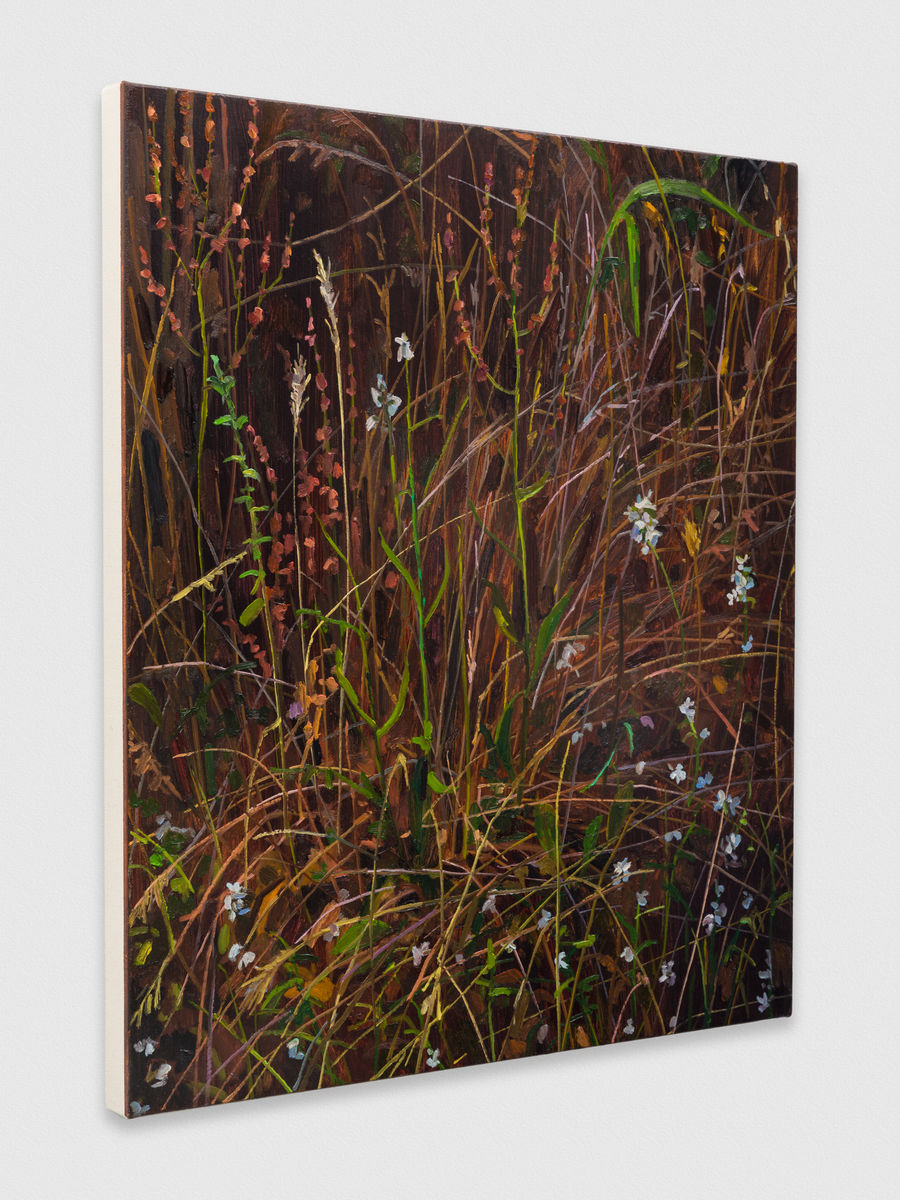 Claire Sherman; Wildflowers; 2020