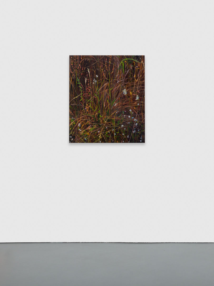 Claire Sherman; Wildflowers; 2020