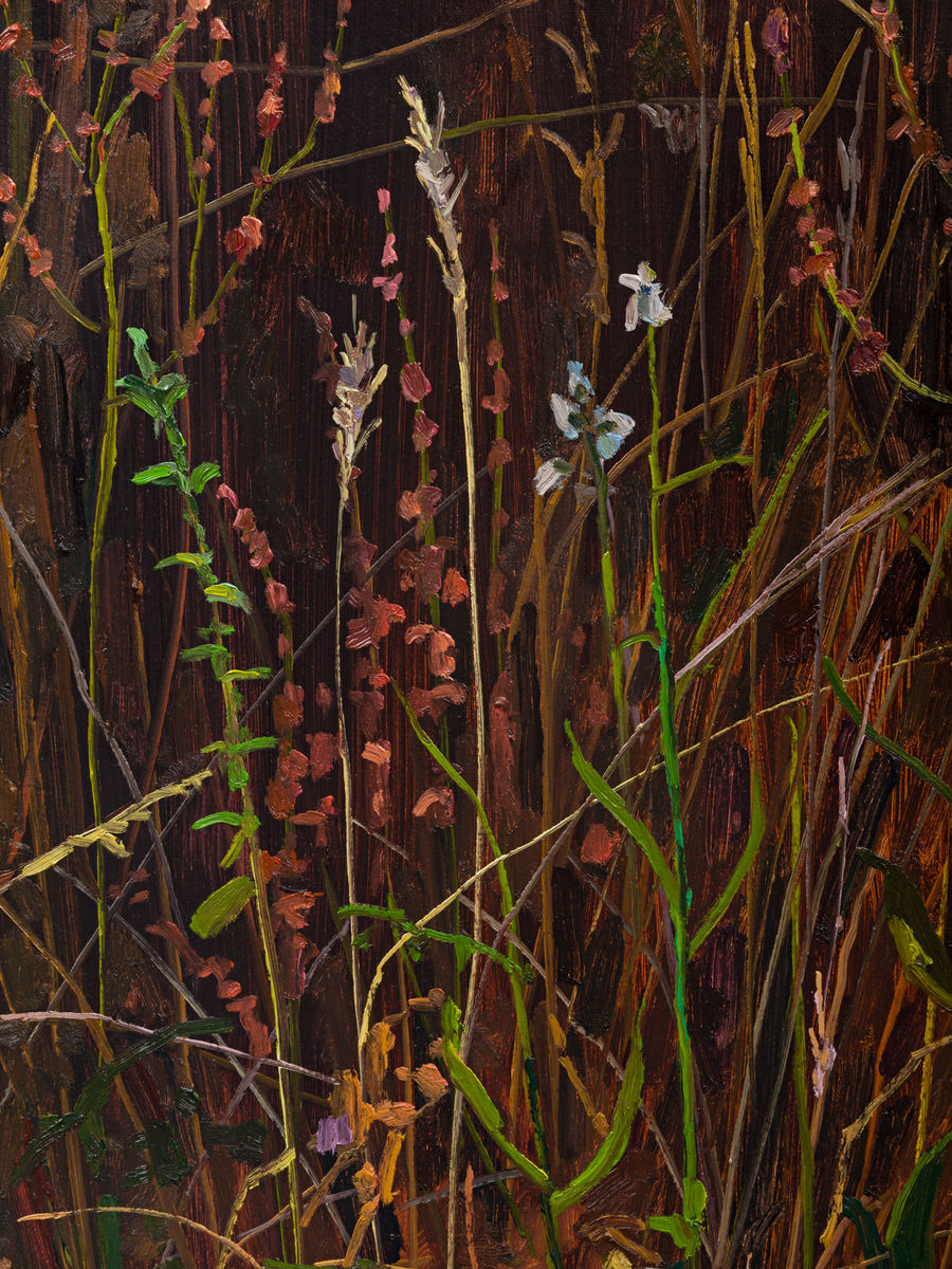 Claire Sherman; Wildflowers; 2020