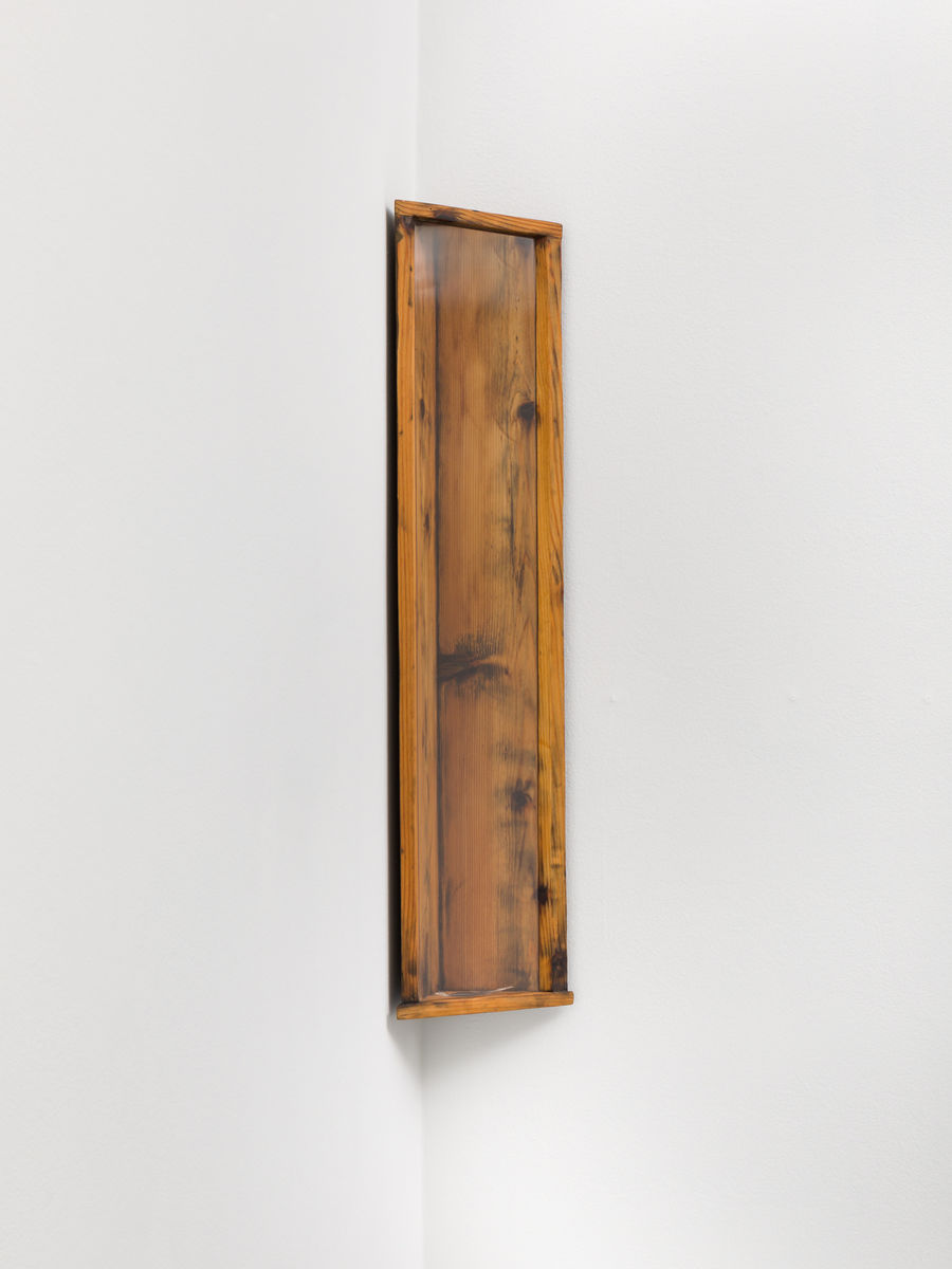 Soo Shin; A Breath to Memory (Lauren’s Feather); 2021