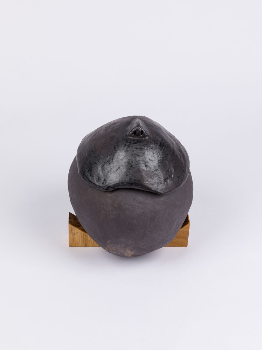 Soo Shin; The Head (introspection); 2020