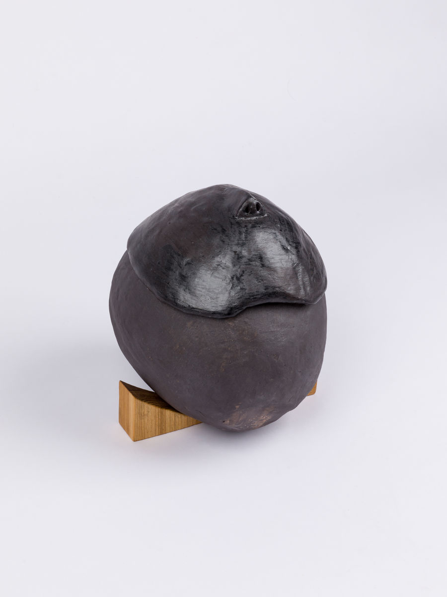 Soo Shin; The Head (introspection); 2020