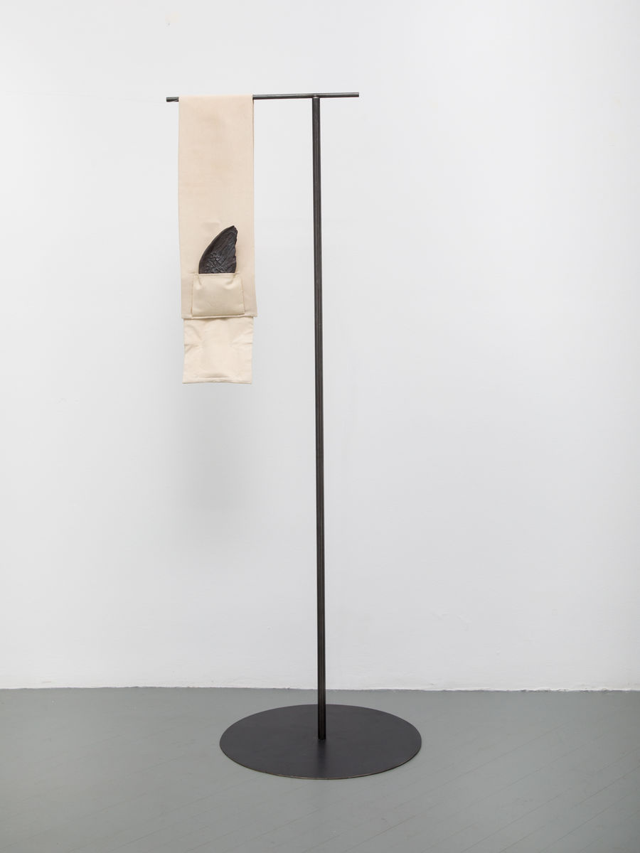 Soo Shin; The Body of a Dreamer; 2020