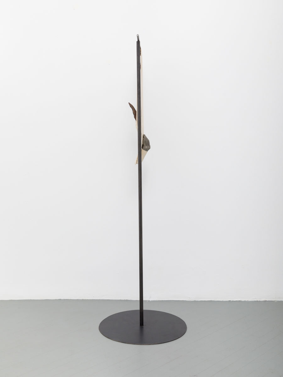 Soo Shin; The Body of a Dreamer; 2020