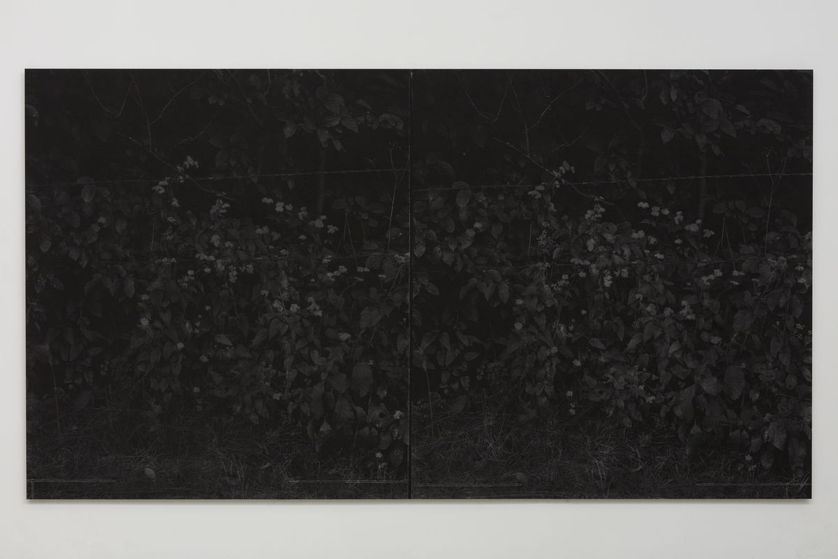 Harold Mendez; Field; 2019/2020