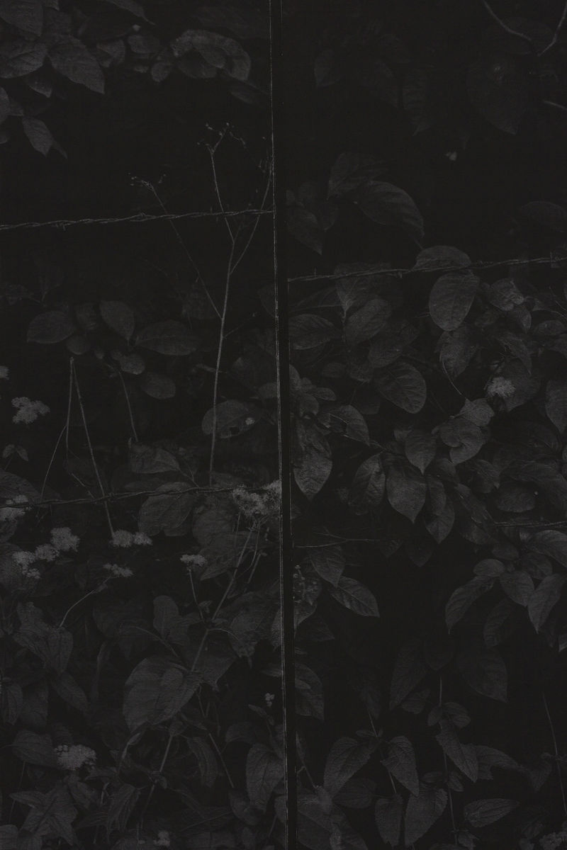 Harold Mendez; Field; 2019/2020