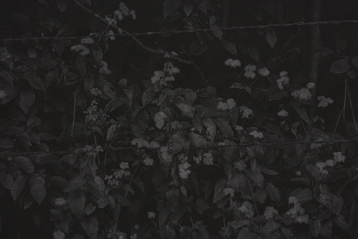Harold Mendez; Field; 2019/2020