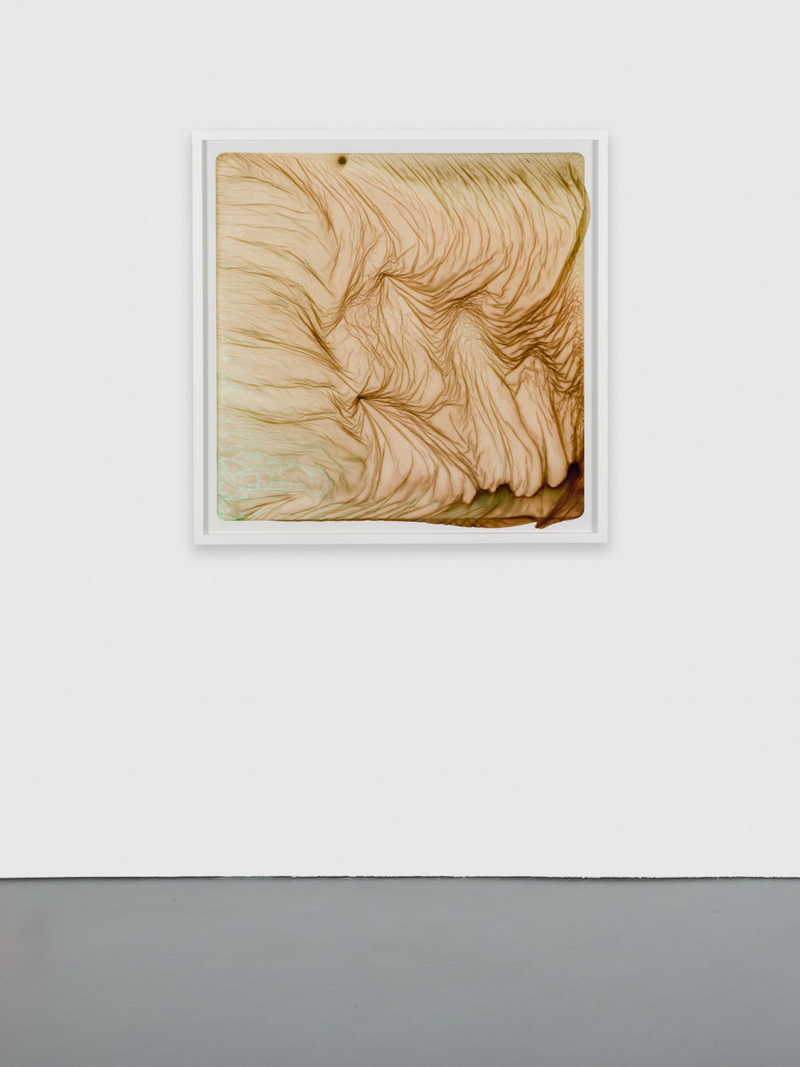 Brittany Nelson; Gelatin Silver 6; 2021