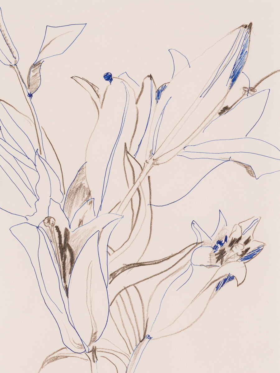 Alex Chitty; Two people drawing together (Danny Shapiro, IX); 2018