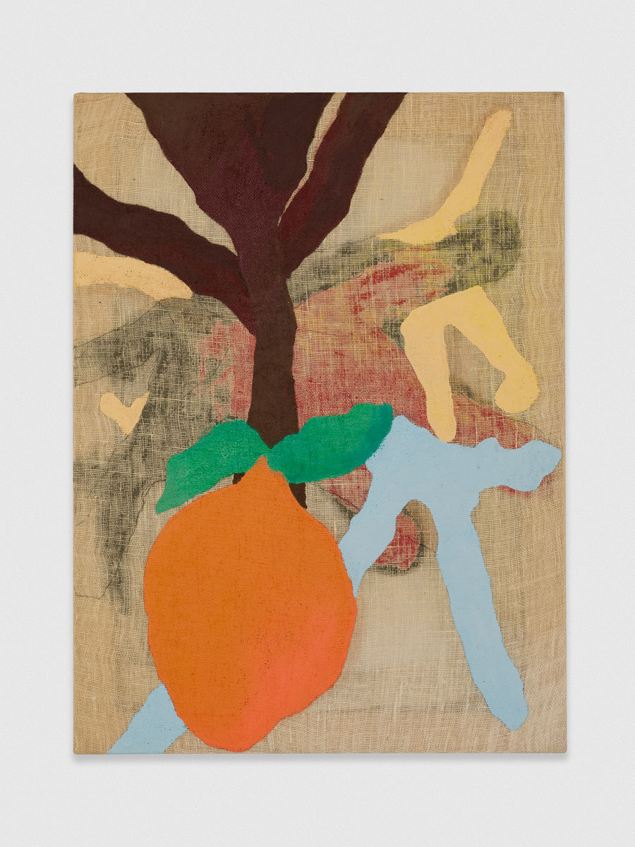 Kaveri  Raina; Le mon, Or ange, to Hover; 2019