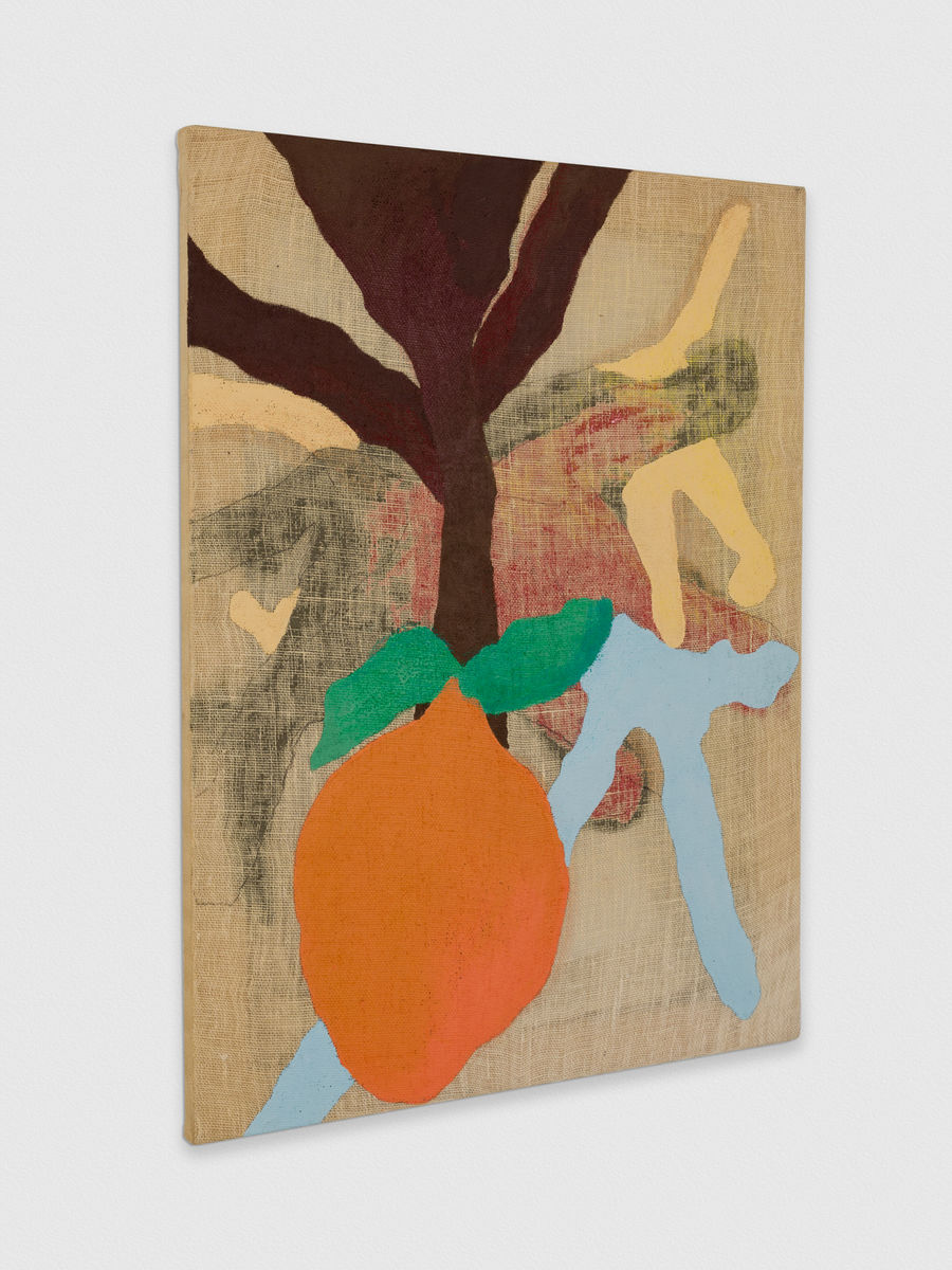 Kaveri  Raina; Le mon, Or ange, to Hover; 2019