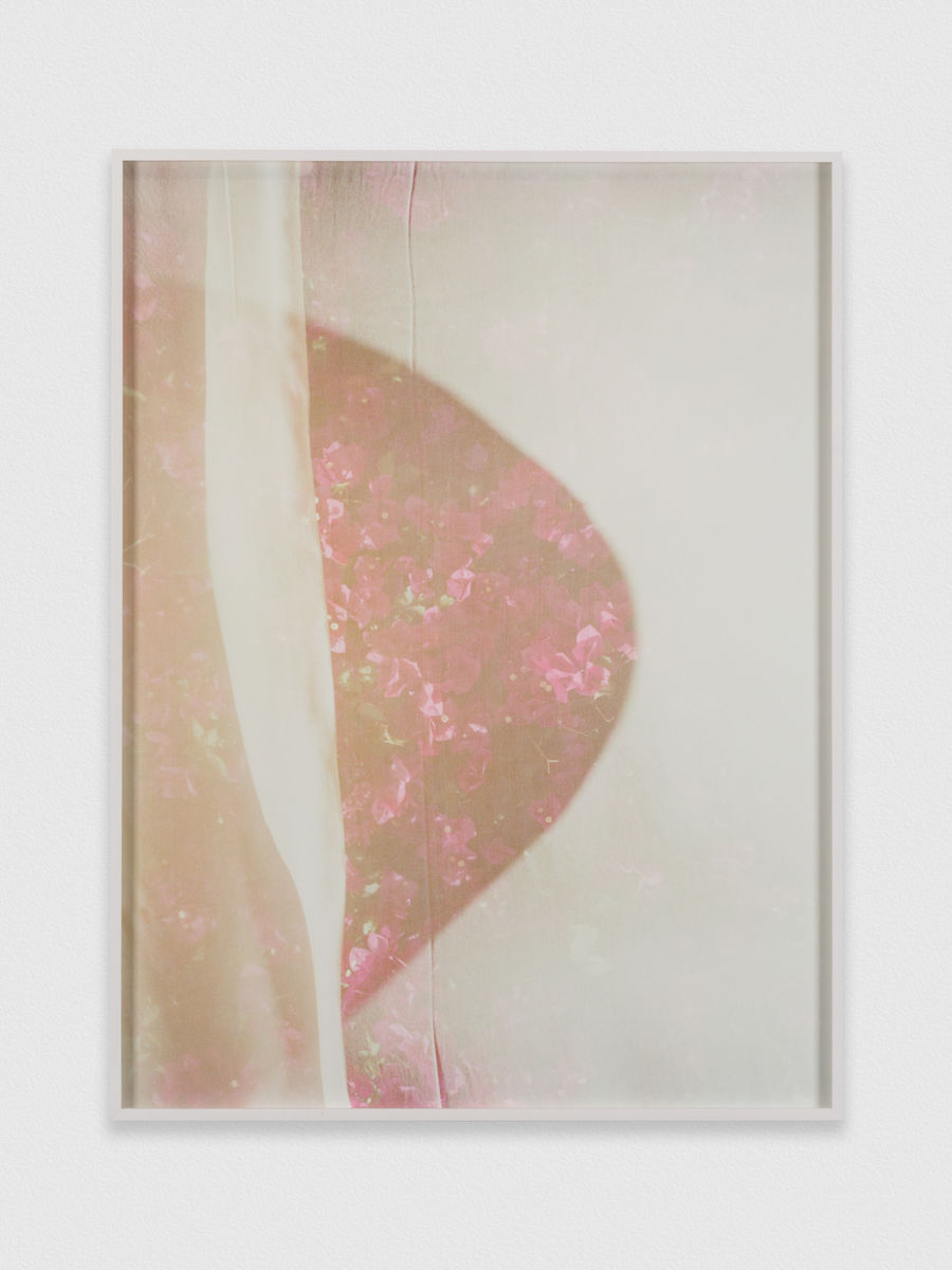 Melanie Schiff; Paper Flowers; 2015