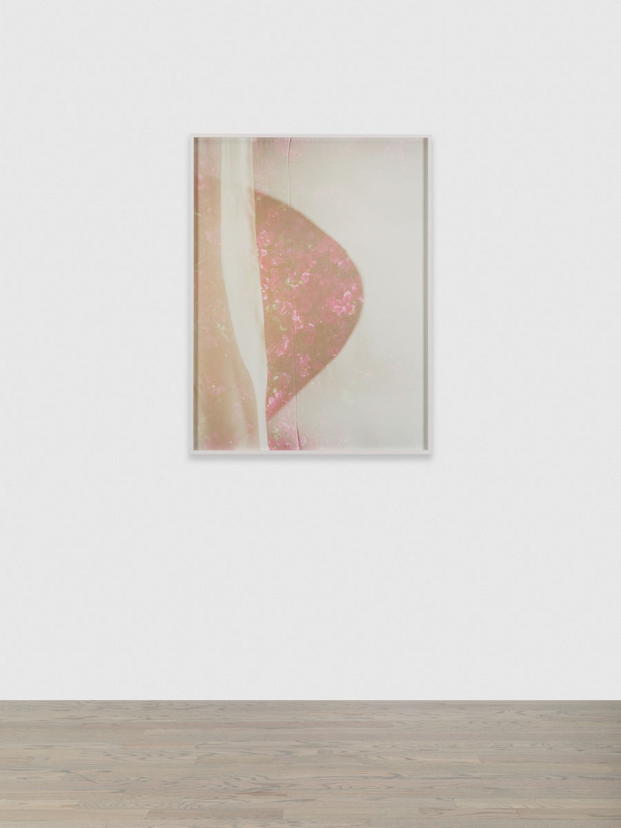 Melanie Schiff; Paper Flowers; 2015