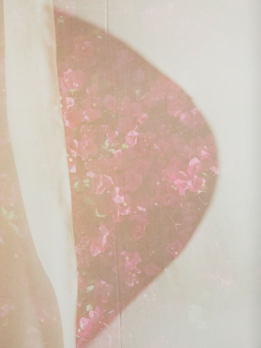 Melanie Schiff; Paper Flowers; 2015