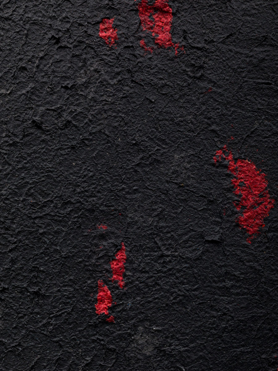 Samuel Levi Jones; Blood on the leaves; 2020