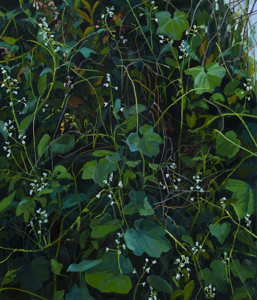 Claire Sherman; Leaves and Vines; 2020