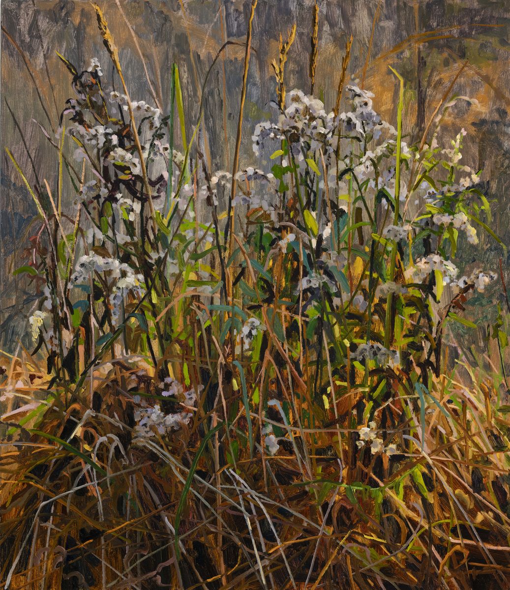 Claire Sherman; Wildflowers; 2020