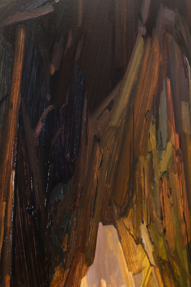 Claire Sherman; Cave and Water; 2021