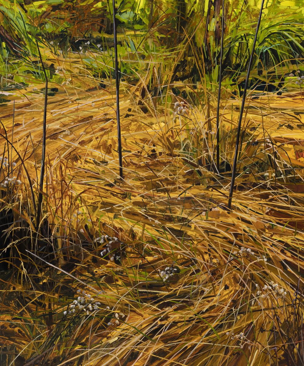 Claire Sherman; Grass; 2021