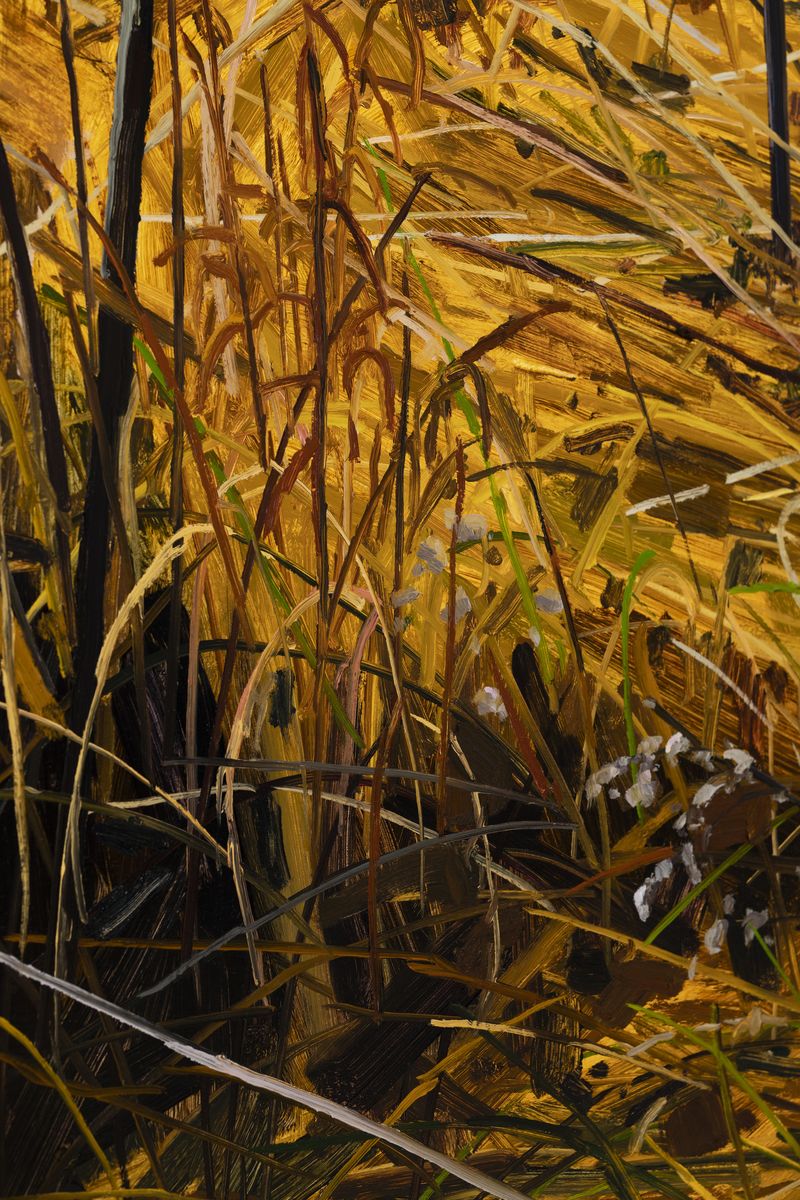 Claire Sherman; Grass; 2021
