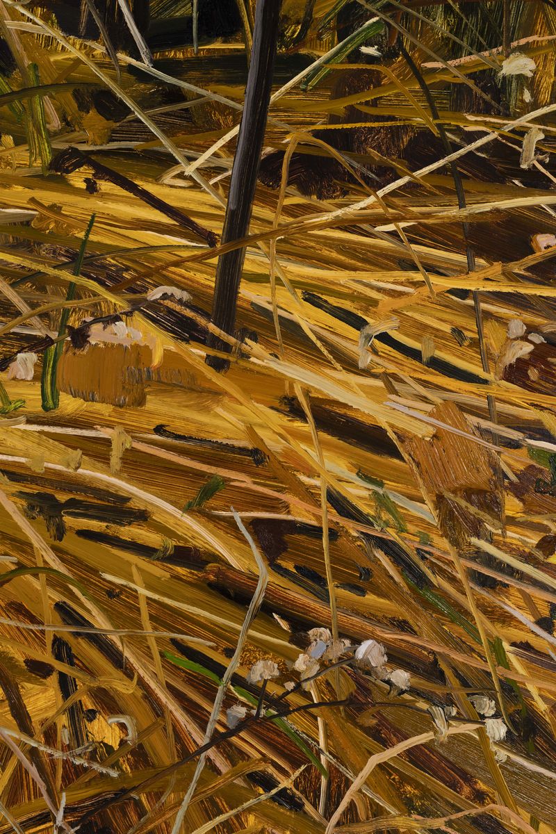 Claire Sherman; Grass; 2021