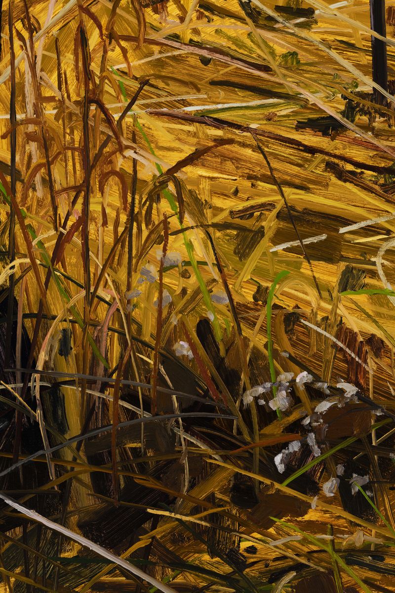 Claire Sherman; Grass; 2021