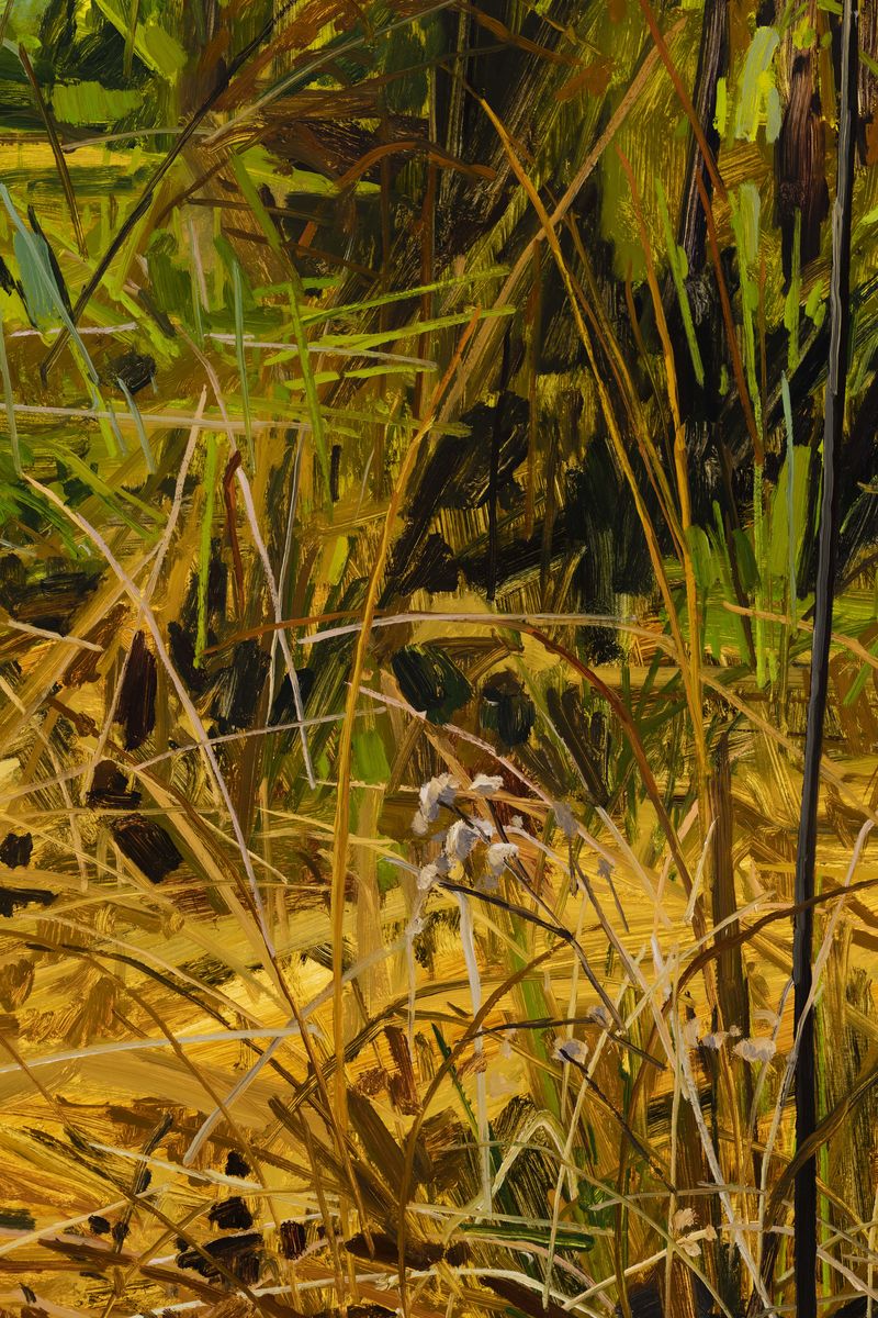 Claire Sherman; Grass; 2021