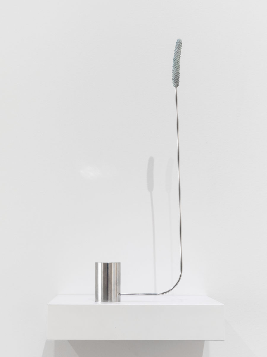 Alex Chitty; Tabled (I); 2021